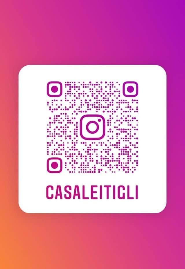 Casale I Tigli Bed & Breakfast Lucca Exterior photo